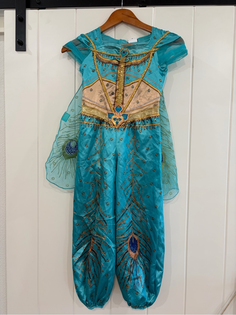 Jasmine dress-up Costume